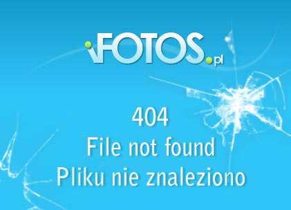 beztytulu_awspae.JPG