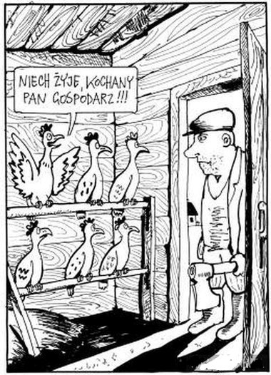 OeJdkpi.jpg