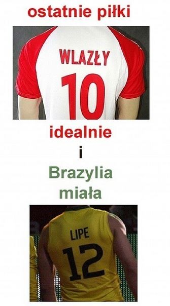 mistrzowie-swiata-siatkarze-432.jpg