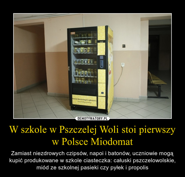 1455147565_m4y0pj_600.jpg