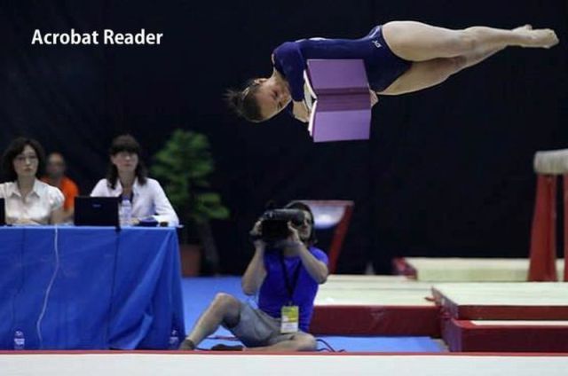 acrobatreader_zpsb94f880f.jpg