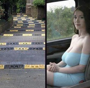 629741.jpg