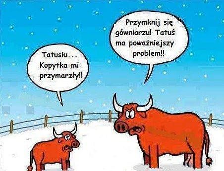 DkRyqlk.jpg