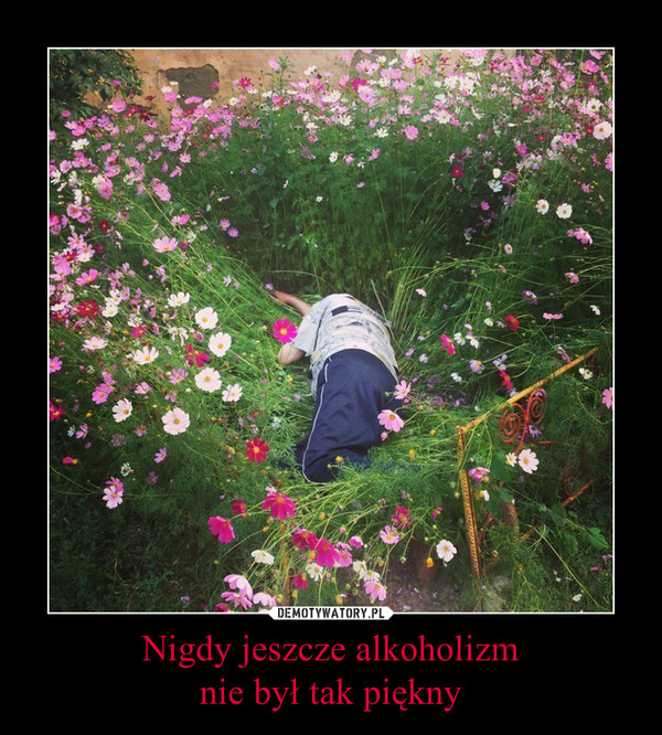 1447015356_meugsn_600.jpg