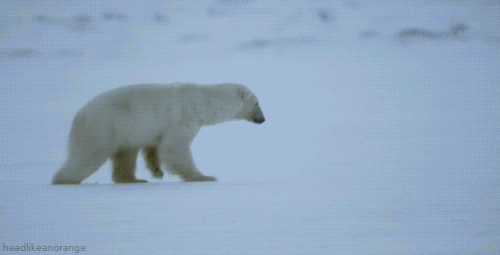 GExaWj5.gif