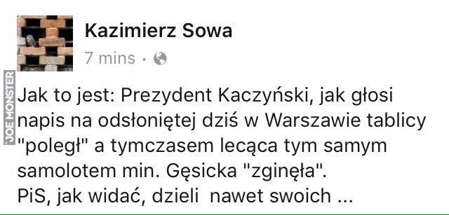 sa_rowni_i_rowniejsi.jpg