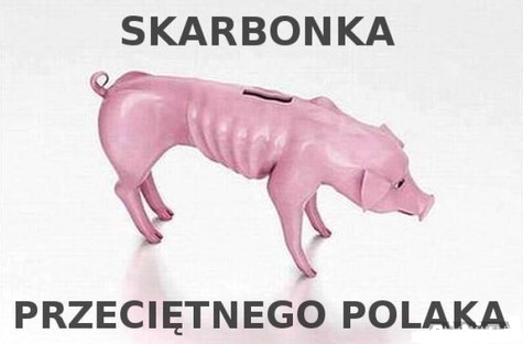 oi6QWX5.jpg