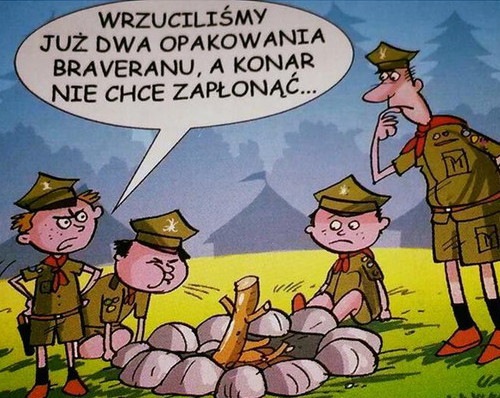 wpOtmsn.jpg
