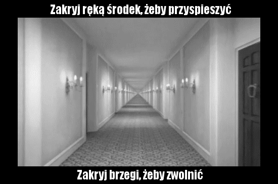 e52cznh.gif