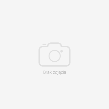 jak-czytac-mosty-konstrukcje-laczace-stulecia-w-iext41940011.jpg