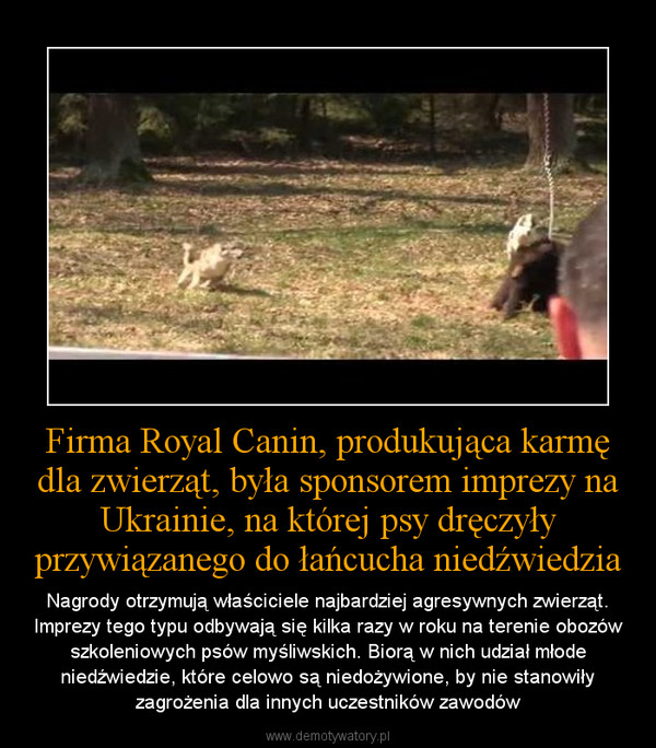 1375481137_hixidm_600.jpg