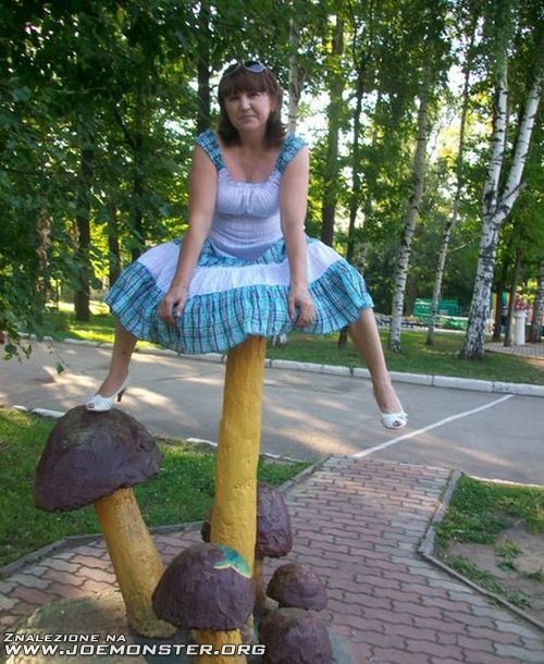 sie_popiesci_to_sie_zmiesci.jpg