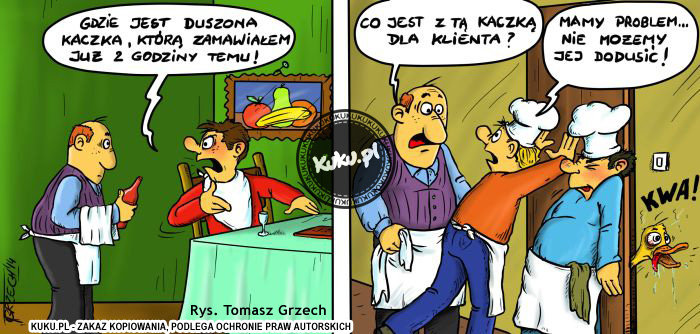 Problem-z-kaczka-kuku-pl.jpg