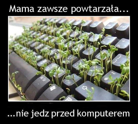 cLuzuZu.jpg