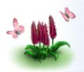 flowerclock120.jpg