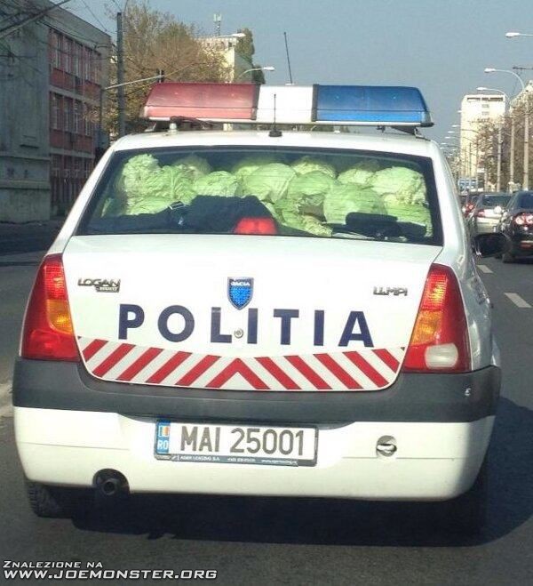 kapusciane_glowy_z_rumunskiej_policji.jpg