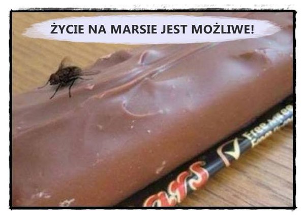 fZXmYb4.jpg