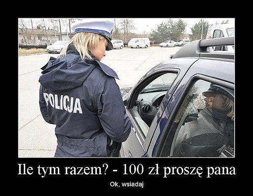 512_9915253f26b6de512_989623542adad7de.jpg