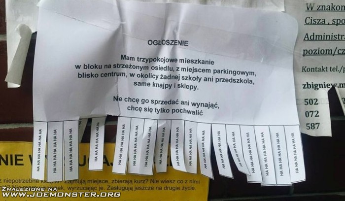 nietypowe_ogloszenie.jpg