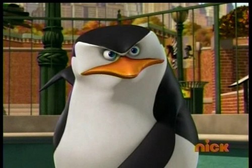 -3Skipper-3-Usualy-Angry-penguins-of-madagascar-26796701-500-333.jpg